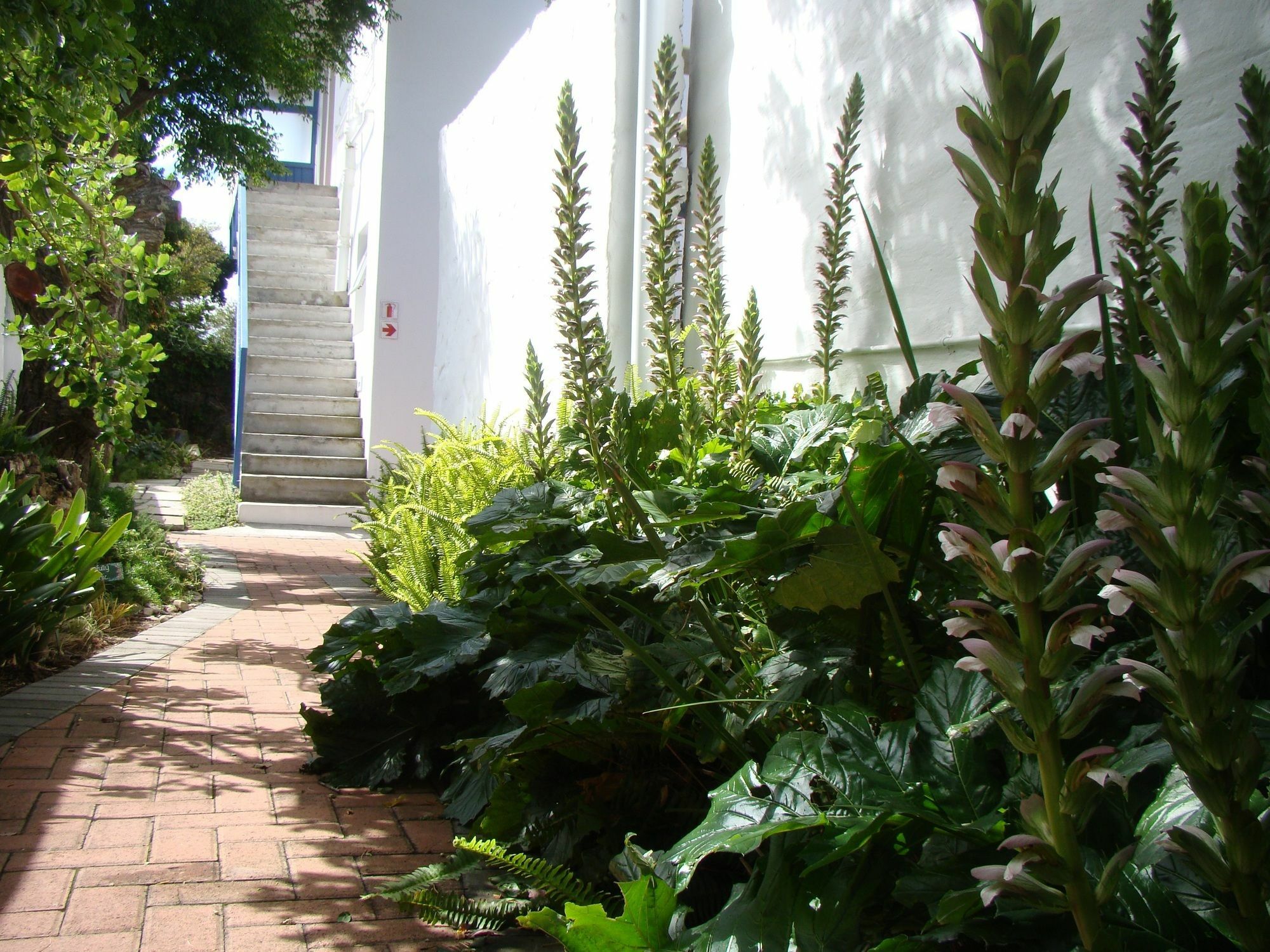 Aqua Marine Guest House Port Elizabeth Exterior foto